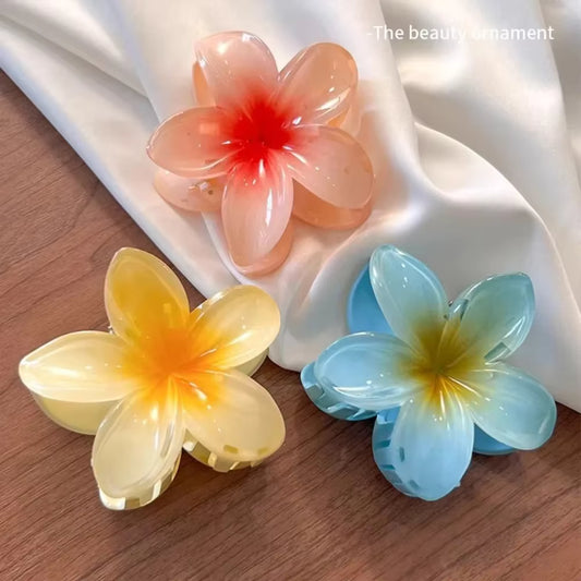 Hawaiian Gradient Claw Clip - DropShipSelections